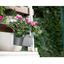 Горщик для квітів Serinova балконний підвісний Camellia, 3 л, червоний (TOM1-Kirmizi) - мініатюра 3