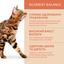 Набор влажного корма для взрослых кошек Optimeal 3+1, 340 г (4 пауча по 85 г) - миниатюра 10