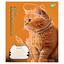 Набір зошитів Yes Adventurous cats, в лінію, 12 аркушів, 25 шт. (766539) - мініатюра 5