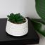 Горшок с искусственным растением МВМ My Home, 10 см, белый (DH-FLOWERS-12 GREEN/WHITE) - миниатюра 3