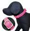 Нашийник для собак Croci Leatherette, лаковий, 26-40x1,5 см, рожевий (C5079718) - мініатюра 1