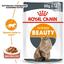 Влажный корм для кошек с чувствительной кожей и проблемной шерстью Royal Canin Intense Beauty, кусочки в соусе, 85 г - миниатюра 2
