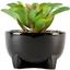 Горшок с искусственным растением МВМ My Home, 12 см, черный (DH-FLOWERS-14 S GREEN/BLACK) - миниатюра 1