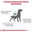 Сухой диетический корм для собак Royal Canin Skin Care Adult Dog при дерматозах и выпадении шерсти, 11 кг (4013110) - миниатюра 5