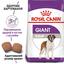 Сухой корм для взрослых собак больших размеров Royal Canin Giant Adult, 4 кг (3009040) - миниатюра 4