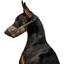 Намордник для собак Waudog Nylon Милитари №3, 25-34 см - миниатюра 3