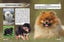 Фотоенциклопедія Кристал Бук Світ навколо нас Собаки (F00021089) - мініатюра 3