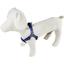 Шлея для собак Lucky Pet Вишиванка блакитна капронова 40-56х1.6 см - мініатюра 2