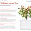 Сменный картридж Click & Grow Smart Garden Перец Чили, 3 капсулы (7311) - миниатюра 4