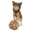 Іграшка для собак Trixie Be Nordic М'яч, канат, d13 см (32630) - мініатюра 2