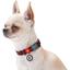 Ошейник для собак Waudog Nylon Шотландка красная, c QR паспортом, пластиковый фастекс, 24-40х20 см - миниатюра 4