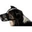 Намордник Trixie для защиты собак от ядов размер XS, 14/18-26 см черный (17591) - миниатюра 2
