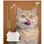 Набор тетрадей Yes Adventurous Cats, А5, в клетку, 24 листа, 20 шт. (766630) - миниатюра 2