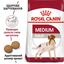 Сухой корм для взрослых собак средних пород Royal Canin Medium Adult, 1 кг (3004100) - миниатюра 4