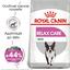 Сухий корм для собак малих порід, чутливих до змін середовища Royal Canin Mini Relax Care, 3 кг (1224030) - мініатюра 2