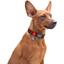 Нашийник для собак Waudog Nylon Шотландка червона, з QR паспортом, пластиковий фастекс, 35-58х2,5 см - мініатюра 5