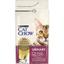 Сухий корм для котів для підтримки здоров'я сечовивідної системи Cat Chow Urinary Tract Health з куркою 1.5 кг - мініатюра 2