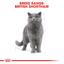 Сухий корм для британських короткошерстих дорослих котів Royal Canin British Shorthair Adult, з м'ясом птиці, 10 кг - мініатюра 3