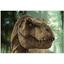 Пазл-мини DoDo Jurassic Park, 35 элементов (200393) - миниатюра 2