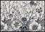 Пазли тришарові Interdruk Flowers 1, 1000 елементів - мініатюра 2