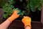 Перчатки рабочие детские Neo Tools латексное покрытие дышащая верхняя часть размер 5 оранжевые (97-644-5) - миниатюра 8