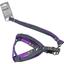 Шлея з повідцем для собак AnimAll Denim Leash Purple, 28-38х1/120 см - мініатюра 1