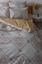 Комплект постельного белья ТЕП Happy Sleep Glorius полуторный кремовый с белым (2-03794_26062) - миниатюра 4