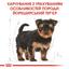 Сухой корм для щенков породы Йоркширский Терьер Royal Canin Yorkshire Terrier Puppy, 7,5 кг (39720751) - миниатюра 2