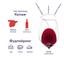 Вино Oratoire Saint-Pierre, красное, 12%, 0,75 л (652092) - миниатюра 4