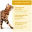 Сухий корм для дорослих котів Optimeal, курка, 0,3 кг (200+100) (B1863301) - мініатюра 4