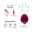 Вино Grappolo d'Oro Vino Rosso Semi Sweet, красное, полусладкое, 5 л - миниатюра 2