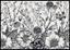 Пазлы трехслойные Interdruk Flowers 1, 1000 элементов - миниатюра 3