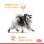Вологий корм для дорослих собак породи Померанський шпіц Royal Canin Pomeranian Loaf, з м'ясом, 85 г (1256001) - мініатюра 2