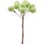 Декоративные шарики мимозы Yes! Fun на стебле 1.6 см зеленые 9 шт. (974163) - миниатюра 1