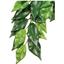 Растение для террариума Exo Terra Ficus Silk, пластик, текстиль, 40 см - миниатюра 1