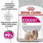 Сухой корм для собак привередливых к питанию Royal Canin Mini Exigent, с мясом птицы, 3 кг (1006030) - миниатюра 2