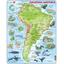 Пазл рамка-вкладиш Larsen Мапа Південної Америки - тваринний світ (A25-UA) - мініатюра 1