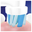 Набор электрических зубных щеток Oral-B Family: Edition Pro Series 1 Vitality&Kids Холодное Сердце 2, 2 шт. - миниатюра 7