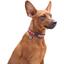 Нашийник для собак Waudog Nylon Єдинороги, з QR паспортом, металева пряжка-фастекс, 35-58х2,5 см - мініатюра 5