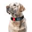Ошейник для собак водостойкий Waudog Waterproof с QR паспортом, пластиковый фастекс, XXL, 46-70х4 см, черный - миниатюра 4
