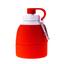 Пляшка для води Bergamo Tempo, 580 мл, червоний (2950B-2) - мініатюра 2