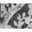 Ковер универсальный Izzihome Siesta 1797, 160х230 см черный/белый (201SA17973639) - миниатюра 5