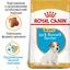 Сухий корм для цуценят породи Джек Рассел Тер'єр Royal Canin Jack Russell Puppy, 0,5 кг (21010051) - мініатюра 4