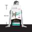 Сухой корм для кошек при заболеваниях желудочно-кишечного тракта Purina Pro Plan Veterinary Diets EN Gastrointestinal, 1,5 кг (12382848) - миниатюра 4