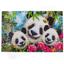 Пазл De.tail Panda Selfie, 500 елементів - мініатюра 2