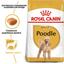 Сухой корм для взрослых собак породы Пудель Royal Canin Poodle Adult, 1,5 кг (3057015) - миниатюра 5