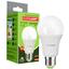 Светодиодная лампа Eurolamp LED Ecological Series низковольтная, A60, 12W, E27, 4000K, 12V (LED-A60-12274(12)) - миниатюра 1
