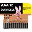Щелочные батарейки мизинчиковые Duracell Basic 1.5 V AA LR03/MN2400, 12 шт. - миниатюра 1