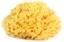 Натуральная губка для ванны OK Baby Silk Fine sea sponge, р.14, желтый (38481400) - миниатюра 1