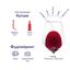 Вино Volcanes de Chile Parinacota, червоне, сухе, 14%, 0,75 л (722969) - мініатюра 4